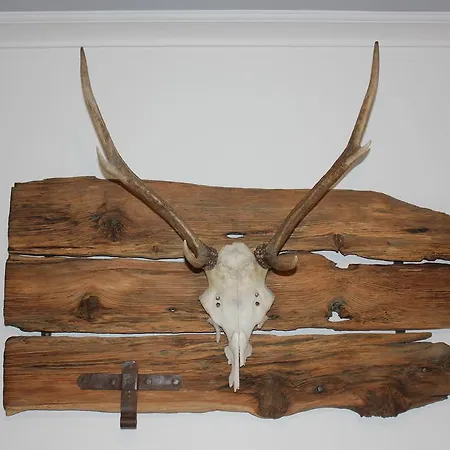 Lasshofer Διαμέρισμα *