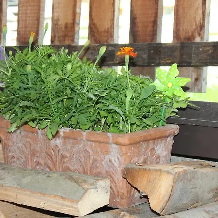 Lasshofer Apartman Sankt Michael im Lungau